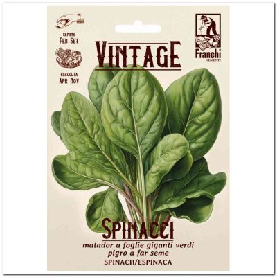 Spinaci Matador a foglie giganti