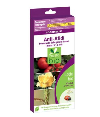 Coccinelle vive anti afidi - COUPON
