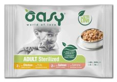 adult-cat-sterlized