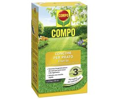 compo-starter