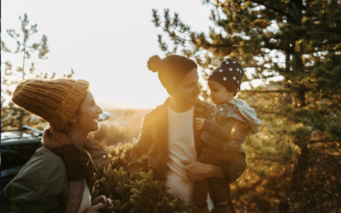Albero di Natale: Perché scegliere l’abete vero