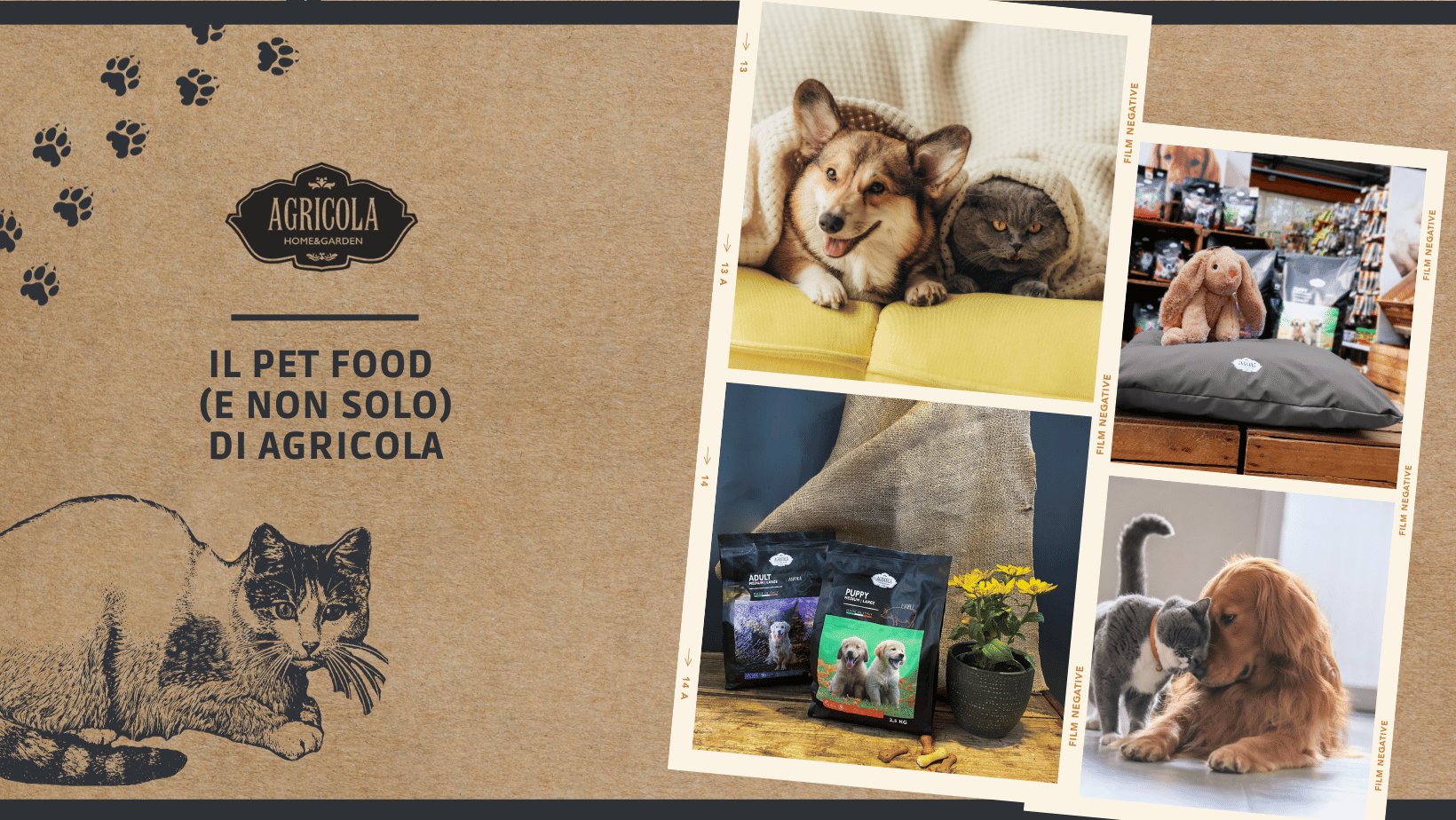 promo pet