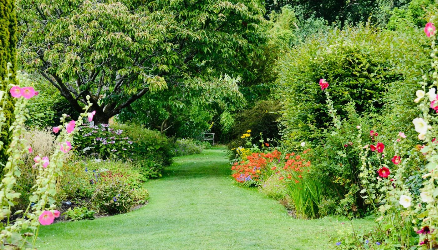 Agosto: i lavori da fare in giardino