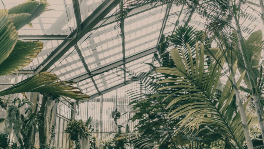 giardino d'inverno visto dall'interno